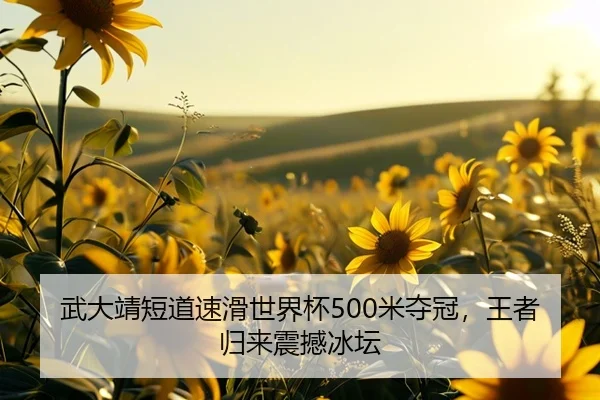 武大靖短道速滑世界杯500米夺冠，王者归来震撼冰坛